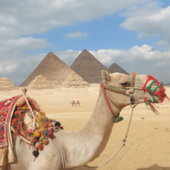 Pyramids of Giza – Wonder of the Ancient World - 2 Day trip from Aswan to Cairo and Luxor