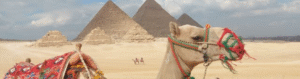 2 Days Cairo and Luxor Tour from Aswan – Private Guided Trip