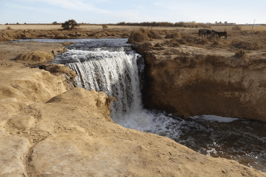Wadi El-Rayan’s waterfalls offer a serene escape, where nature’s beauty flows through the desert.