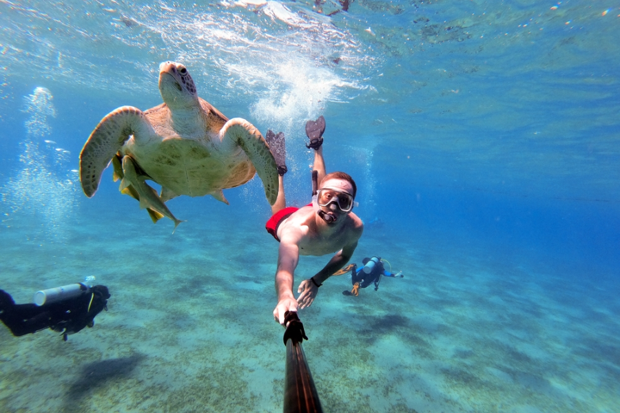 Diver exploring coral reef in Marsa Alam