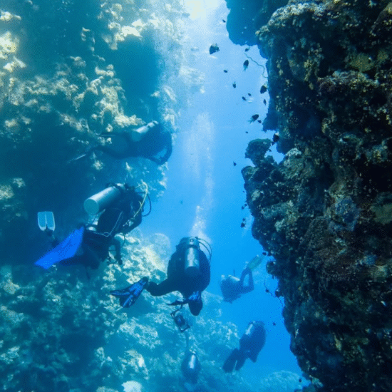 Diving in Hurghada – Red Sea Magic - 10 Days Cairo, Aswan, Luxor & Hurghada Honeymoon Package
