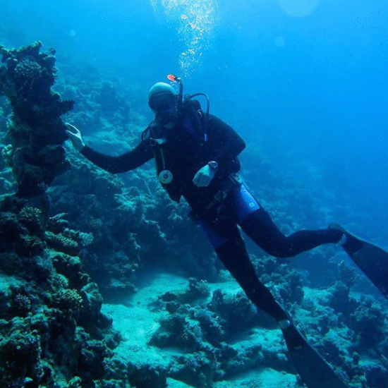 Hurghada Diving – Explore the Red Sea Underwater World - 7 Days Cairo & Hurghada Honeymoon Tour Package