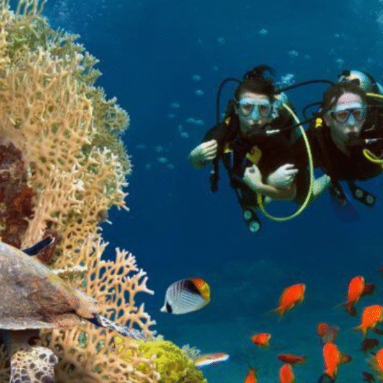 Scuba Diving in Sharm El Sheikh – Egypt Tours Group - 9 Days Cairo, Alexandria & Sharm El Sheikh Honeymoon Tour