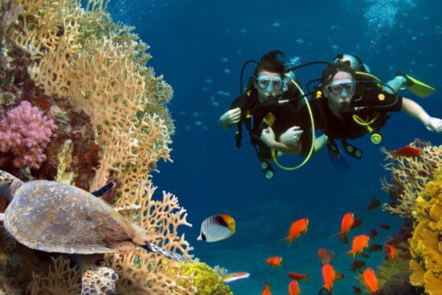 Scuba Diving in Sharm El Sheikh – Egypt Tours Group - 9 Days Cairo, Alexandria & Sharm El Sheikh Honeymoon Tour