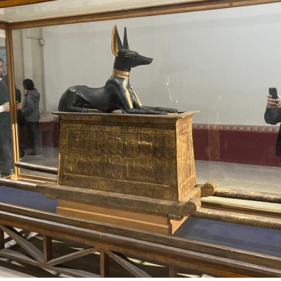 National Museum of Egyptian Civilization – Discover Egypt’s Story - 7 Days Cairo & Hurghada Honeymoon Tour Package