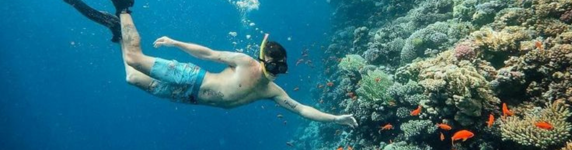 Snorkeling in the Red Sea - 10 Days Egypt Christmas Tour Package – Cairo, Nile Cruise & Hurghada