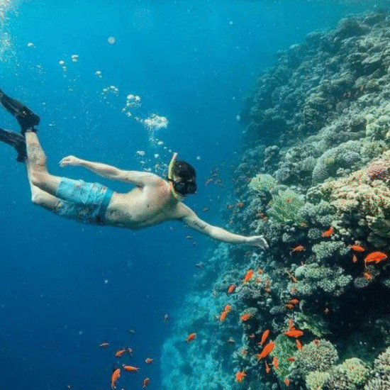 Snorkeling in the Red Sea - 10 Days Cairo, Nile Cruise & Hurghada Christmas Tour Package