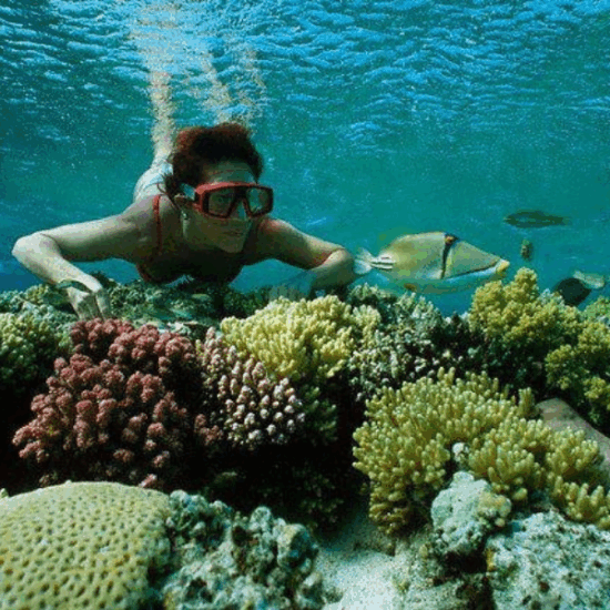 Snorkeling in the Red Sea in Hurghada with vibrant coral reefs and clear blue water.